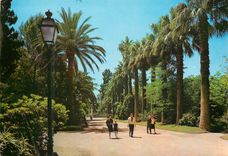 CPM Valencia Jardins du Reel (Viviers)