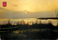 CPM Valencia Albufera Couchee du Soleil