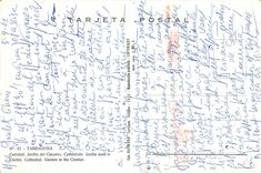 CPM Tarragona Cathedrale Jardin dans le Cloitre