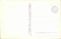 Switzerland - Genevae - Sight on the roads - CPA