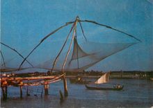 CPM Coach in Harbour India 