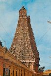 CPM Meenakashi Temple Madurai India 