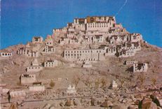 CPM Tiksey Monastery Ladakh 