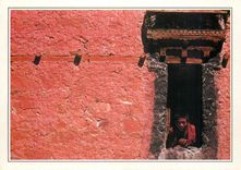 CPM Ladakh Young monk at Thisay monastery 