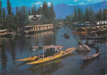 CPM Shikara in Dal Lake 