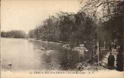 Lyon Park of the Gold Head the corner of Swans CPA