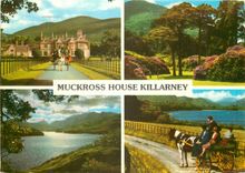 CPM Muckross House Killarney 