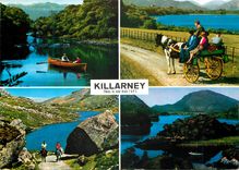 CPM Killarney The lakes and Fells of Killarney lie along a broad valley 