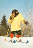 CPM Singe Chimpanzz Ski