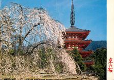 CPM Temple Kyoto