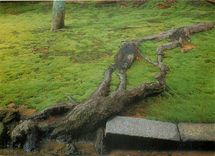 CPM Ryoan Ji Temple in Kyoto Moss Garden of Unryu no niwa