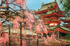 CPM The Heian Jingu Shrine Kyoto