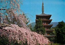 CPM Dagon Temple Kyoto
