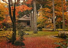 CPM Le Temple de Sanzenin (Kyoto)