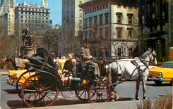 CPM Carriages on 59th Street New York City