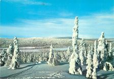 CPM Lappi Lapland Suomi Finland
