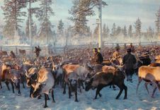CPM Parojen Lappia The Land of Reindeers