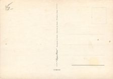 CPM Une petite sauterie Grenouille