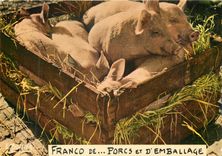 CPM Franco de porcs et d'emballage Cochon Porc
