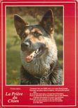 CPM La Priere du Chien