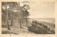CPA Arcachon Cote d'Argent La Cote du Moulleau aux Abatilles