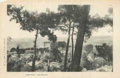 CPA Arcachon Vue generale