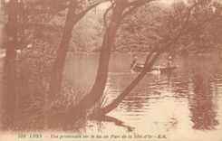CPA Lyon Une promenade sur le lac au Parc de la Tete d'Or
