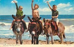 CPM Having fun by the sea An eDonkey