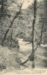 CPA Vic sur Cere Paysage sur les admirables gorges de la cere 