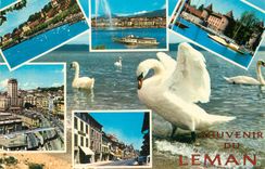 CPM Lausanne le grand pont et la tour bel'air Cygne