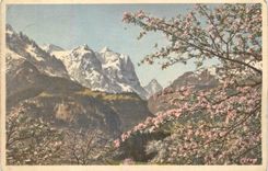 CPA Wellhorn Wetterhorn Eiger