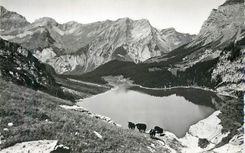 CPM Oeschinensee mit Klein Lohner und First