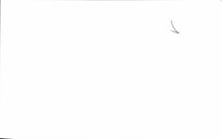 Paris 14 REPRODUCTION Montsouris Park - Allee a CPA