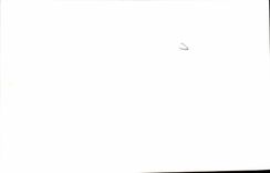 Paris 14 REPRODUCTION Montsouris Park - Lawn CPA