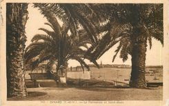 CPA Dinard (l et V) le Palmeraie et Saint Malo