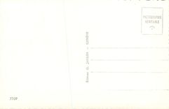 CPM Souvenir de Montreux Chateau de Chillon Les Dents du Midi