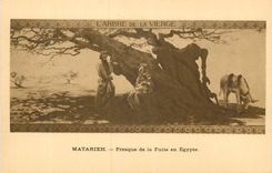 CPA l'Arbre de la Vierge Matarieh Fresque de la Fuite en Egypte