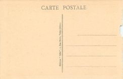 CPA le Puy en Velay Chapiteau la Haute Loire Pittoresque