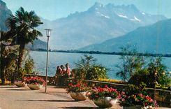 CPM Montreux 868 le quais fleuri et les dents du midi