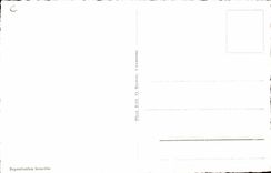 CPSM Suisse Rochers de Naye et dents du midi