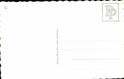 CPSM Suisse Rochers de Naye Hotel et panorama