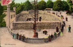 Swiss CPA Bern Barengrahen Bear Bear