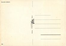 CPM Raccards Valaisans