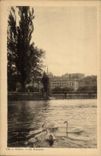 Swiss CPA Geneva Island Rousseau Swan Swans