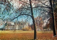 CPM Chambord Loir et Cher Le chateau et son parc a l automne 