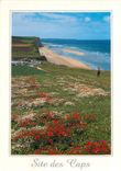 CPM Le Cap Blanc Nez Pas de Calais et la Baie de Wissant 