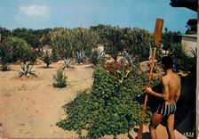 CPA Giens (Var) Village de Vacances Air Sport Soleil 