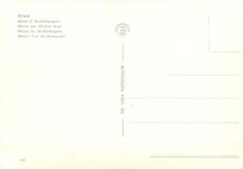 CPM Roma Moise par Michel Ange