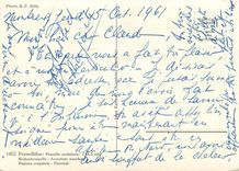 CPM Prunellidae Prunella Modularis Accenteur Mouchet Passera Scopaiola Dunock