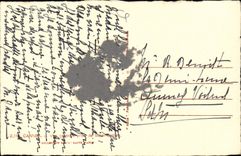 Cannes - View - palm tree - CPA